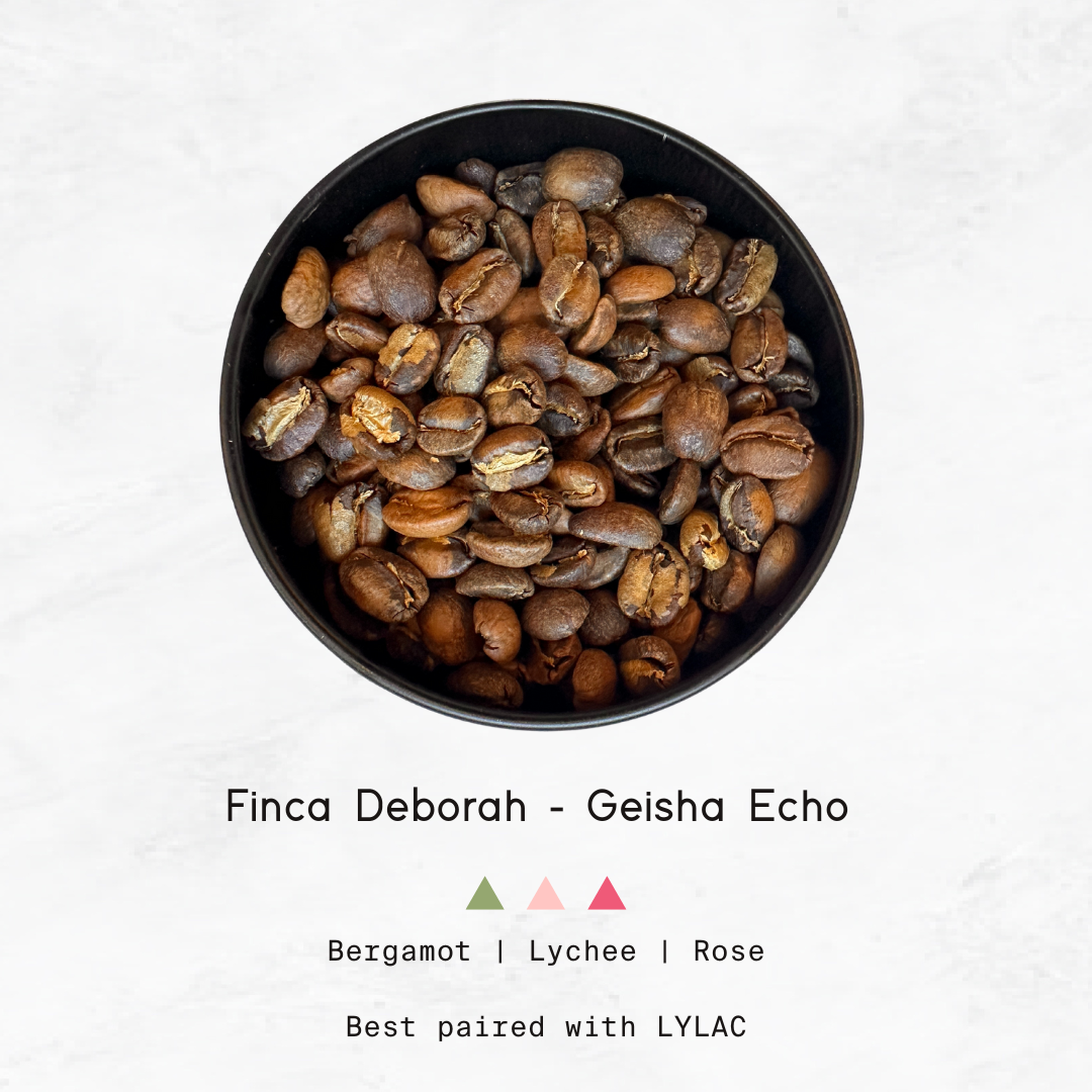 PANAMA - Finca Deborah, Geisha Echo