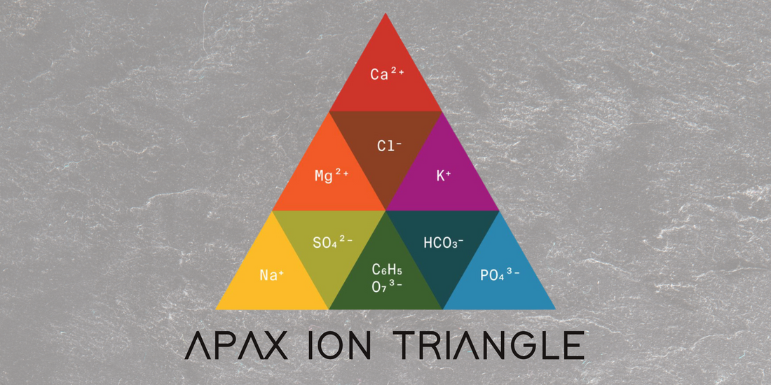 The Role of Ions in Coffee