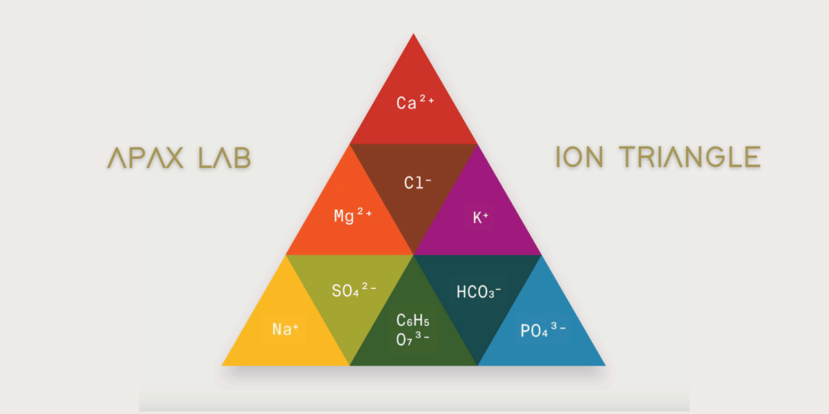The Role of Ions in coffee