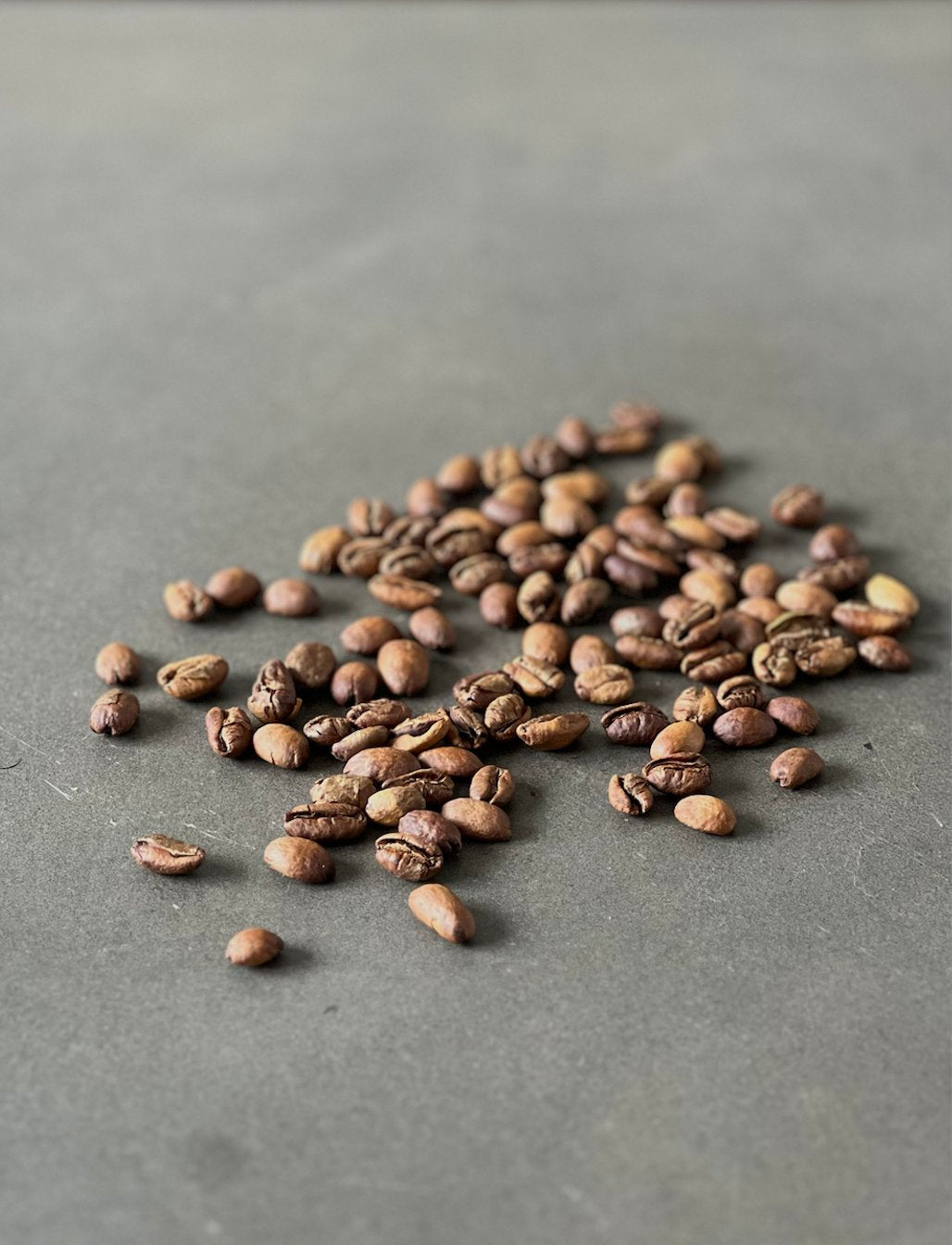 Roasted Coffee - The Vault