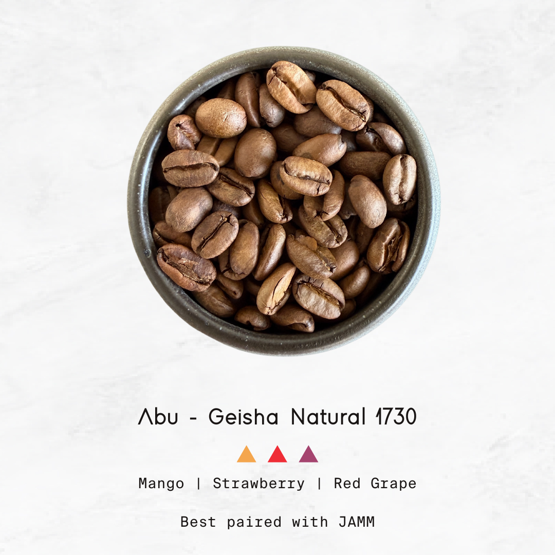 PANAMA - Abu, Geisha Anaerobic Natural GN1730