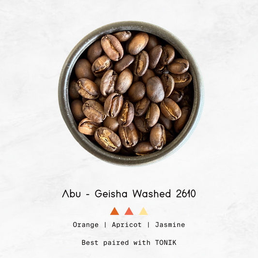 PANAMA - Abu, Geisha Washed GW2610