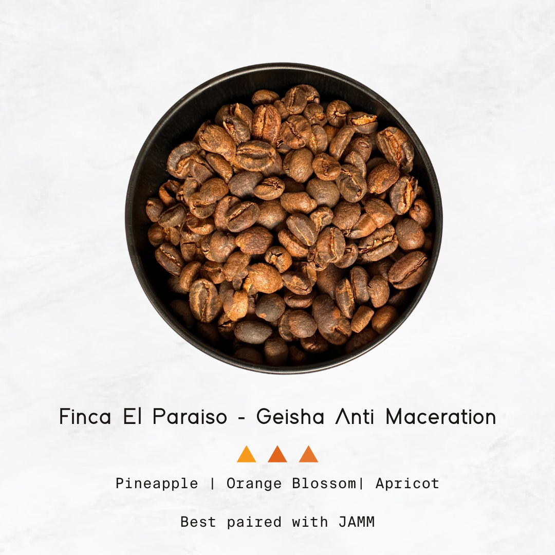 COLOMBIA - Finca El Paraiso, Geisha Anti-maceration Washed