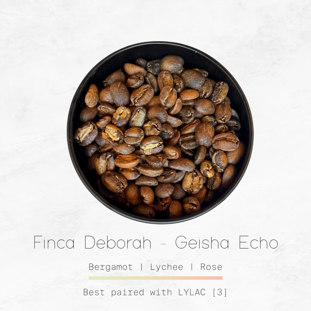 PANAMA - Finca Deborah, Geisha Echo