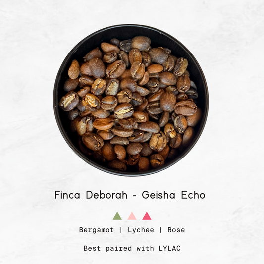 PANAMA - Finca Deborah, Geisha Echo