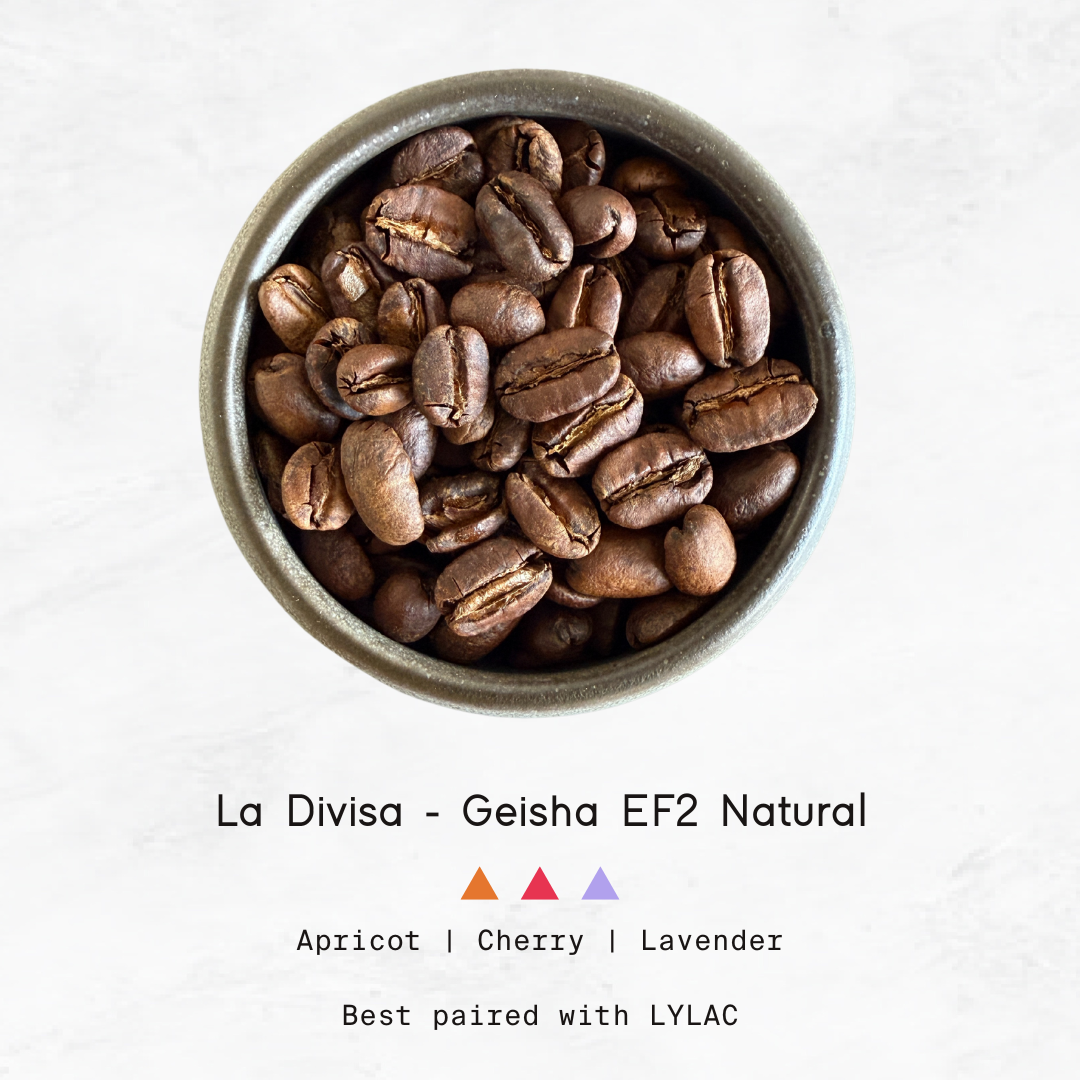 COLOMBIA - La Divisa, Geisha EF2 Natural