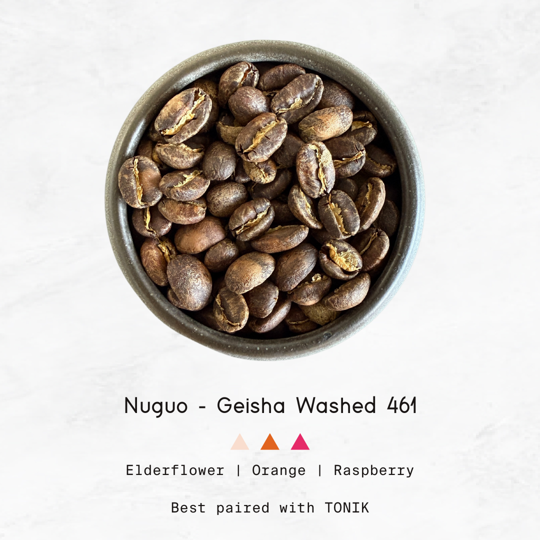 PANAMA - Nuguo, Geisha Washed GW461