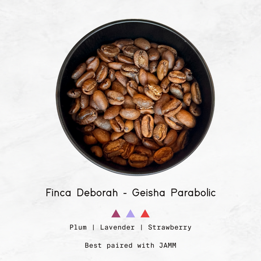 PANAMA - Finca Deborah, Geisha Parabolic