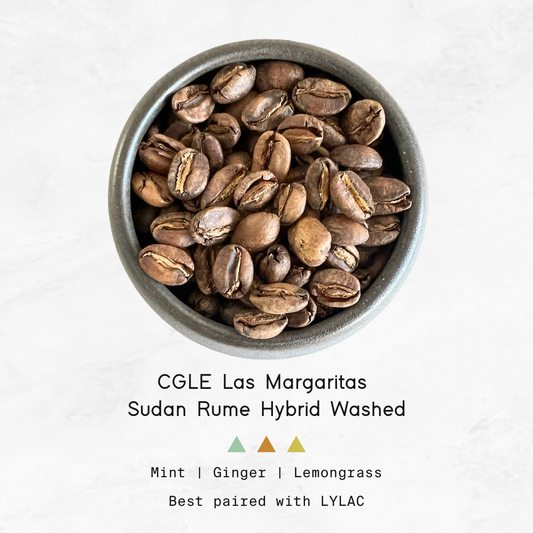 COLOMBIA - Cafe Granja La Esperanza, Sudan Rume Hybrid Washed