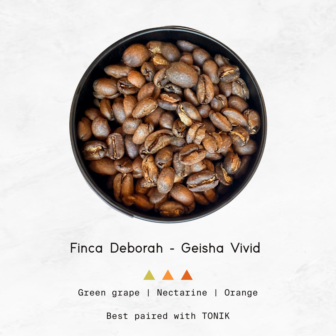 PANAMA - Finca Deborah, Geisha Vivid