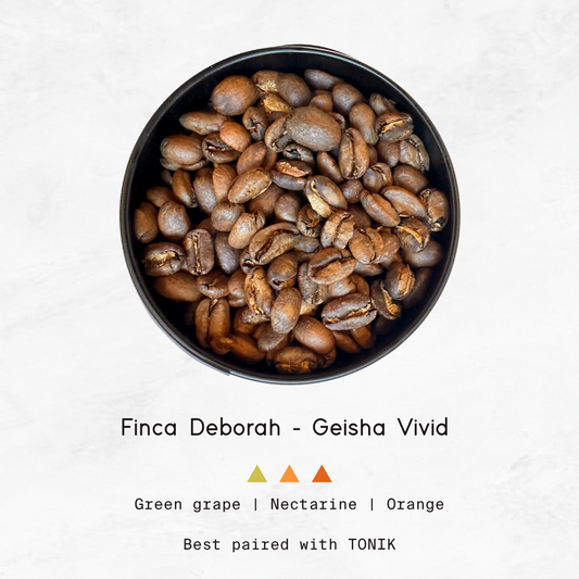 PANAMA - Finca Deborah, Geisha Vivid